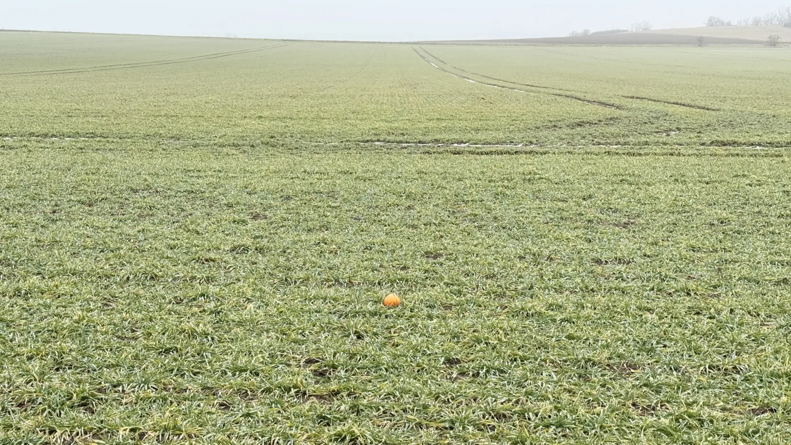 Ich höre zu – ein Jahr im Schweigen