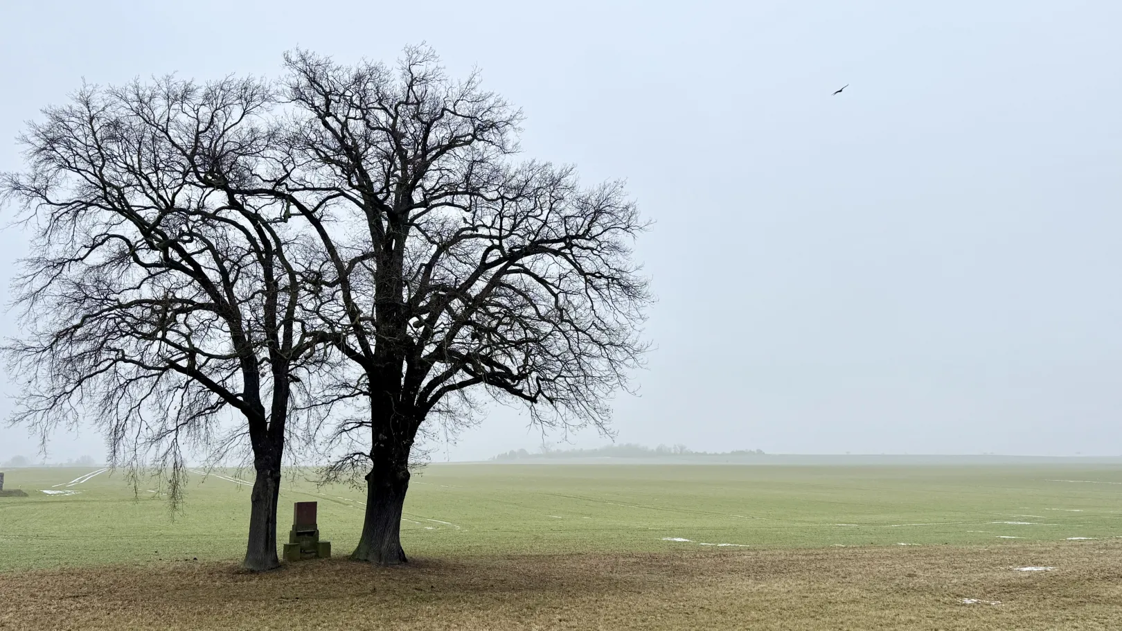 Ich höre zu – ein Jahr im Schweigen