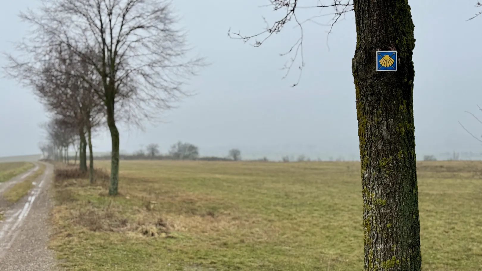 Ich höre zu – ein Jahr im Schweigen