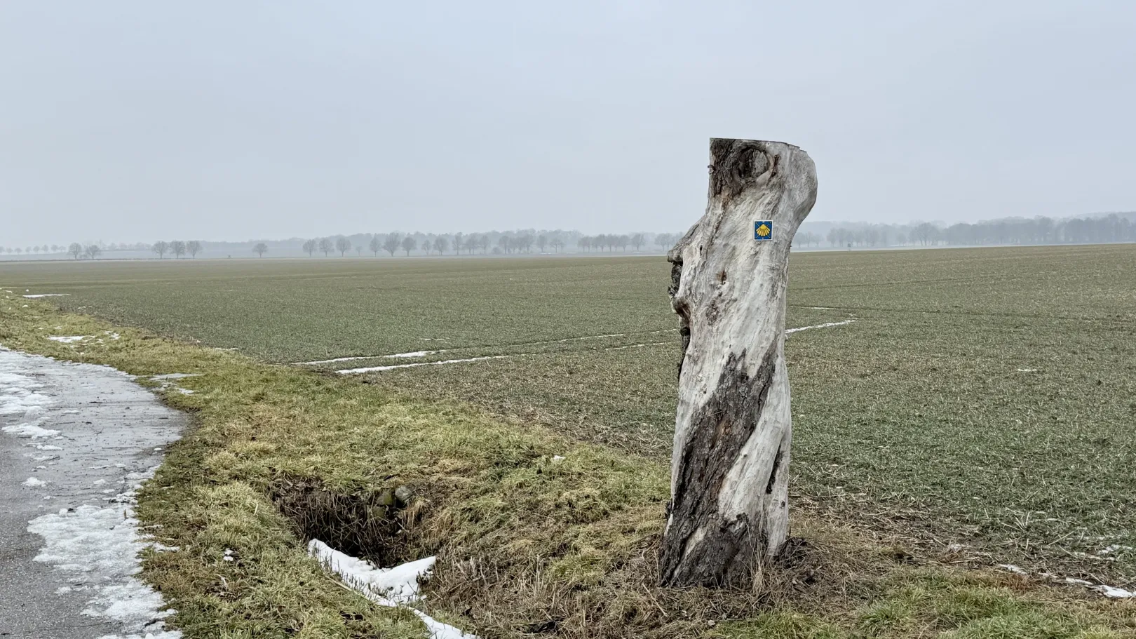 Ich höre zu – ein Jahr im Schweigen