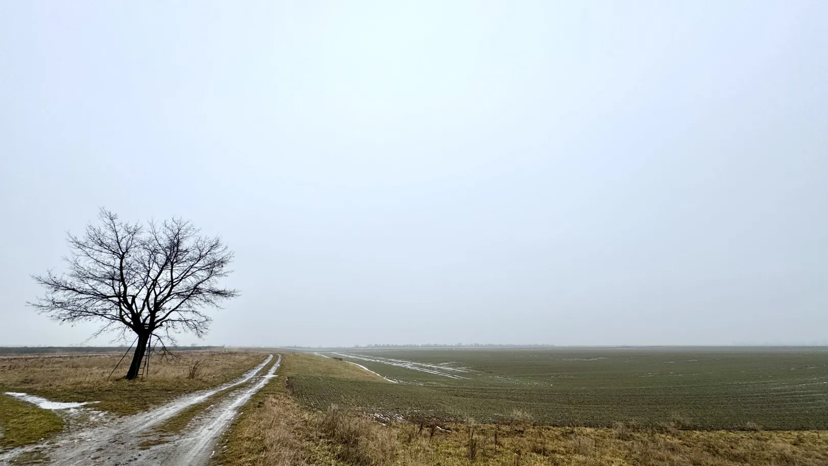Ich höre zu – ein Jahr im Schweigen