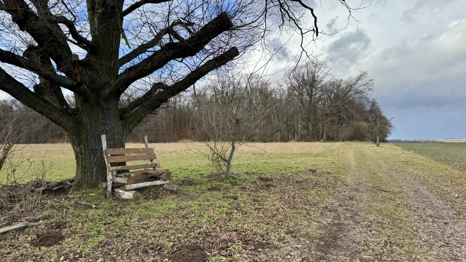 Ich höre zu – ein Jahr im Schweigen