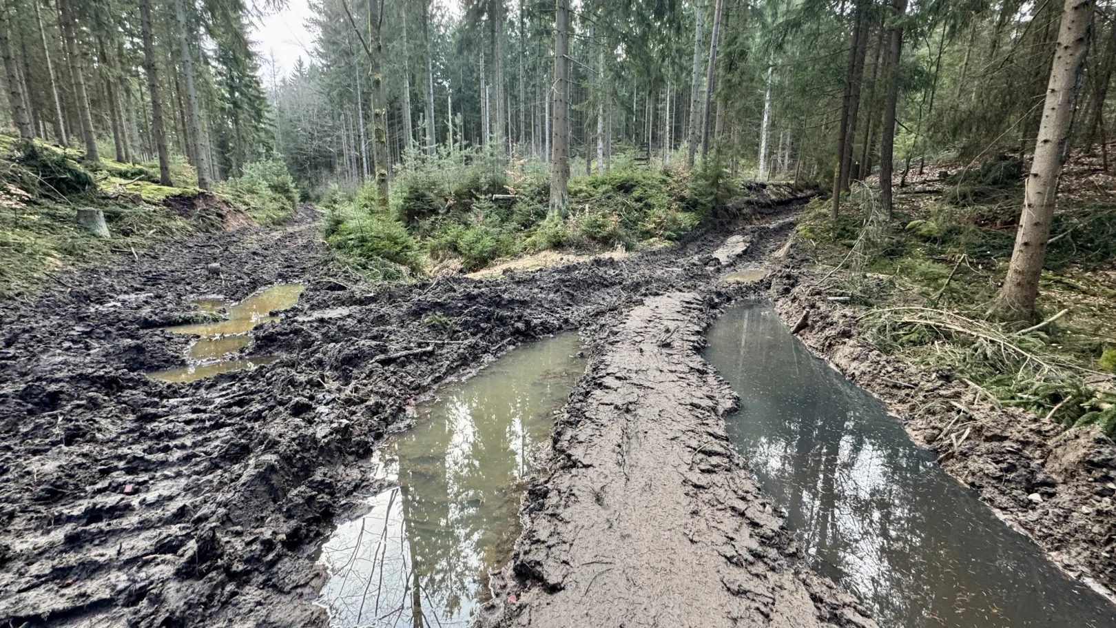 Ich höre zu – ein Jahr im Schweigen