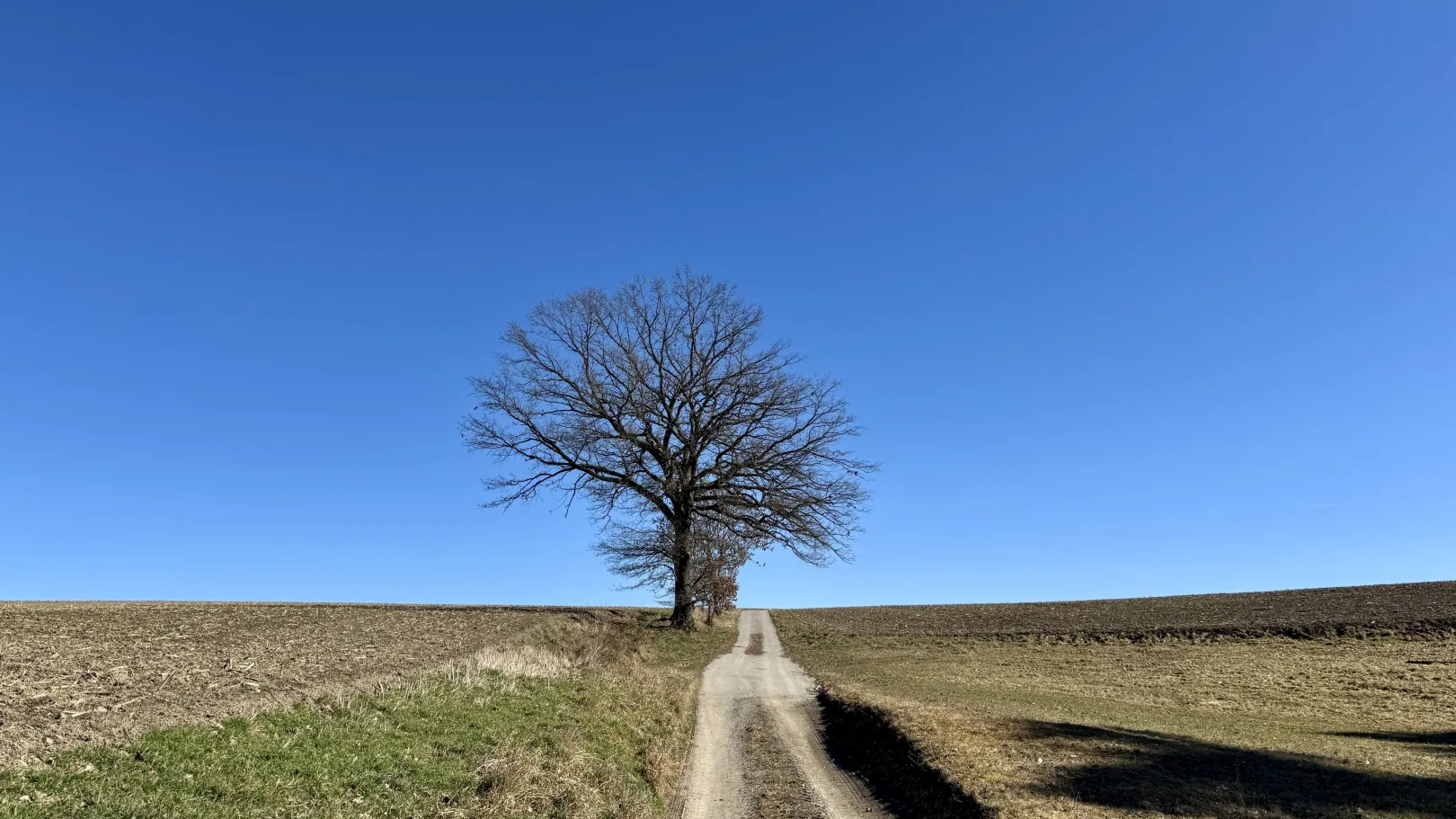 Ich höre zu – ein Jahr im Schweigen