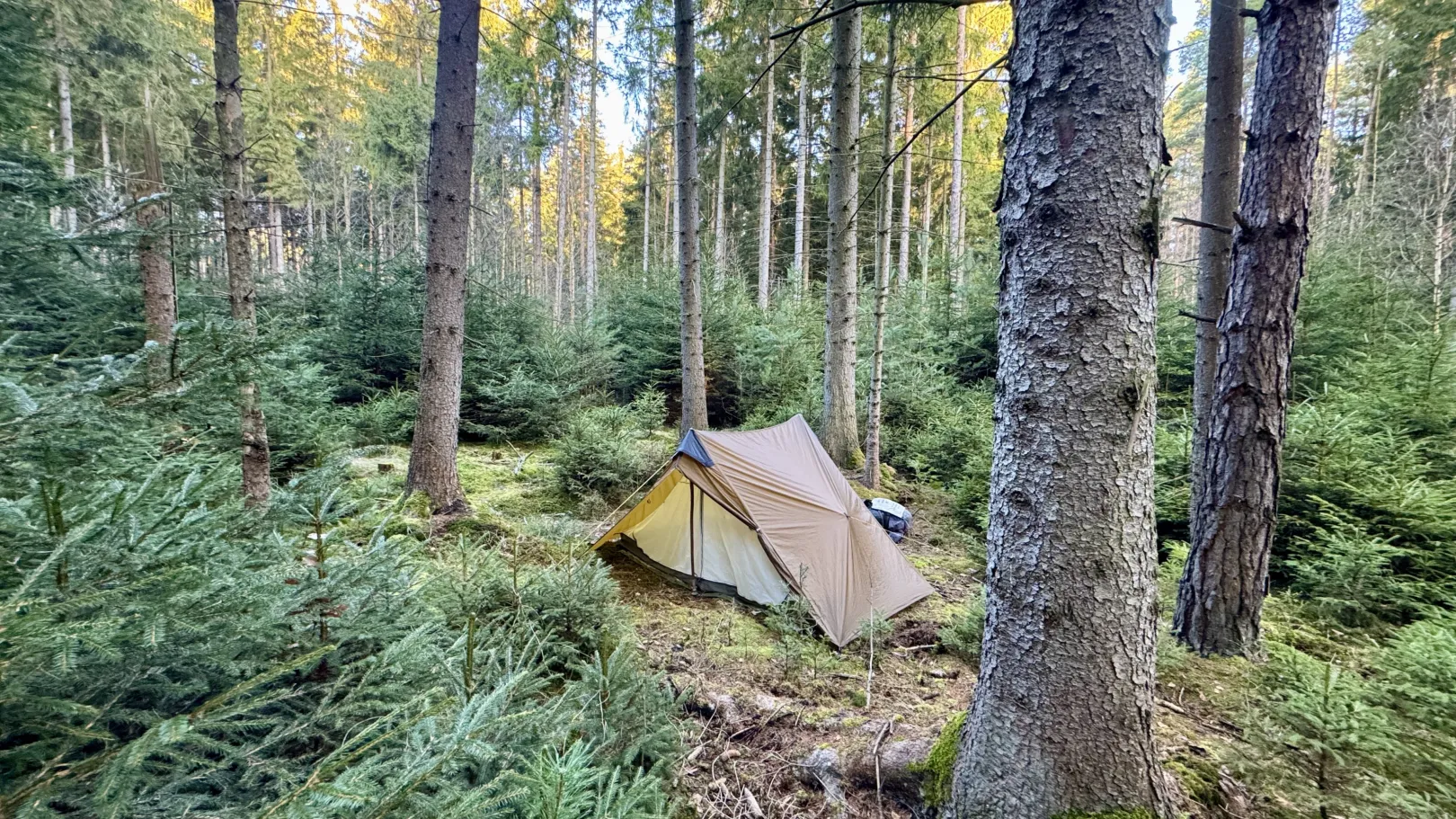 Ich höre zu – ein Jahr im Schweigen