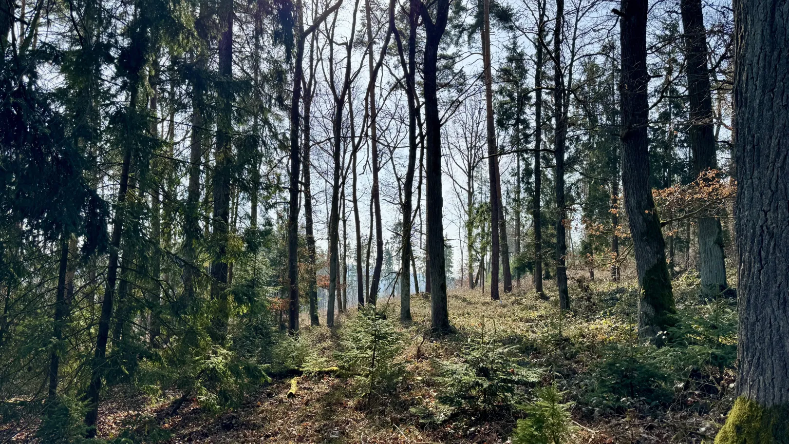 Ich höre zu – ein Jahr im Schweigen