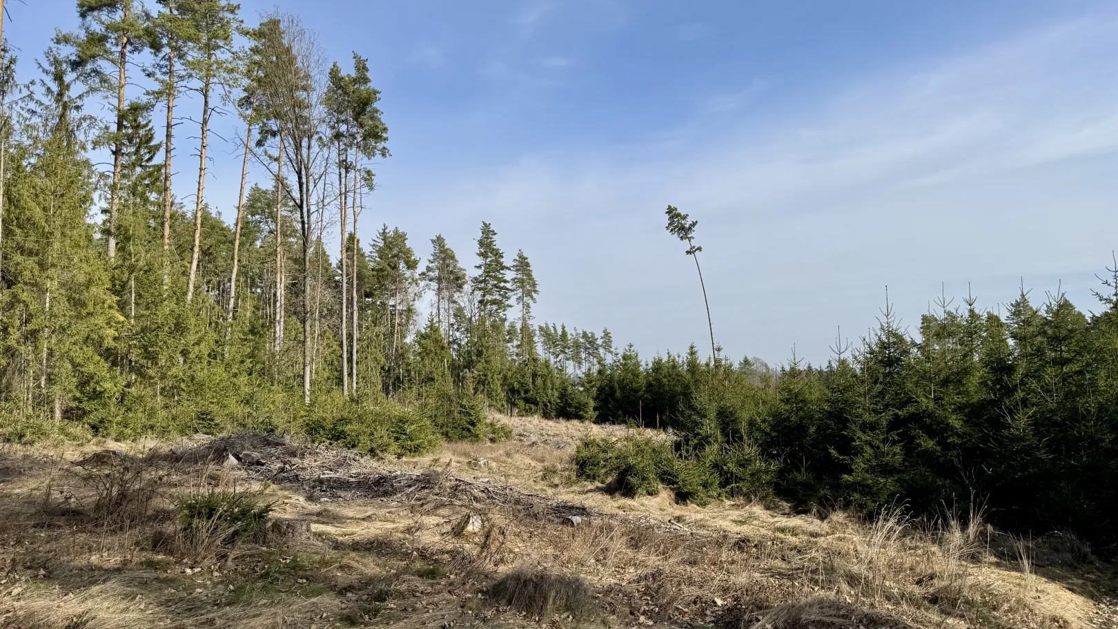 Ich höre zu – ein Jahr im Schweigen