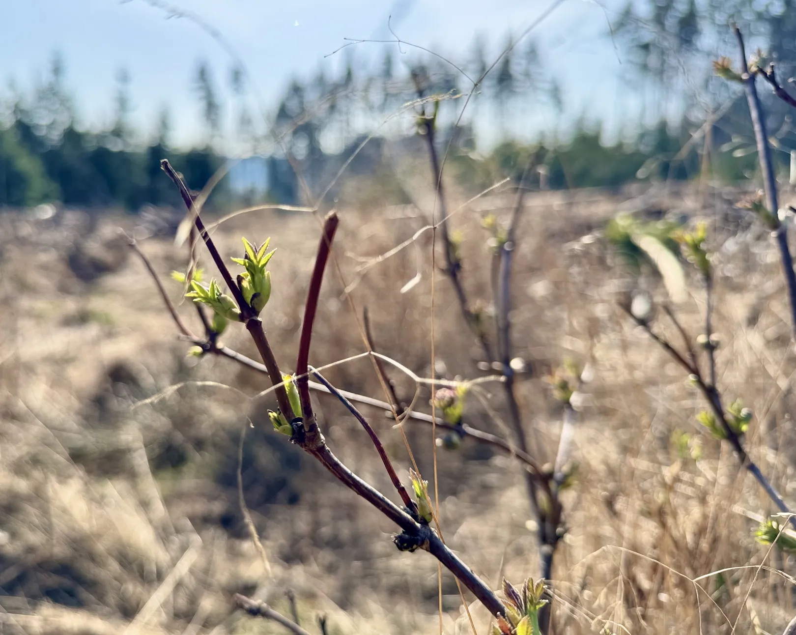 Ich höre zu – ein Jahr im Schweigen