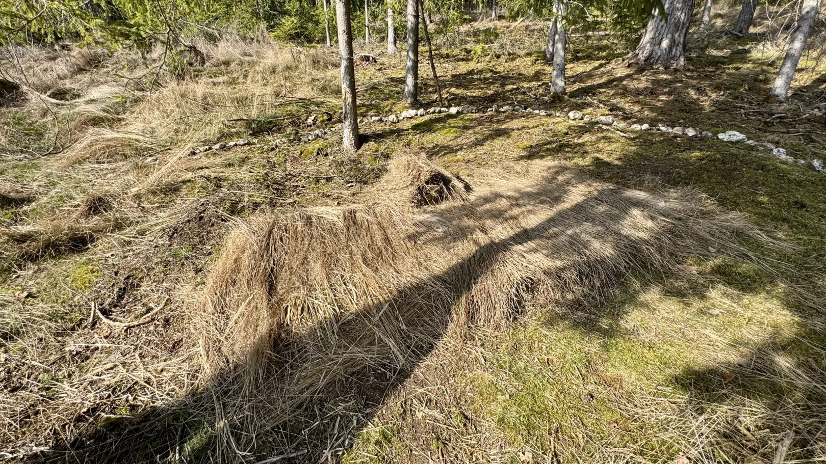 Ich höre zu – ein Jahr im Schweigen