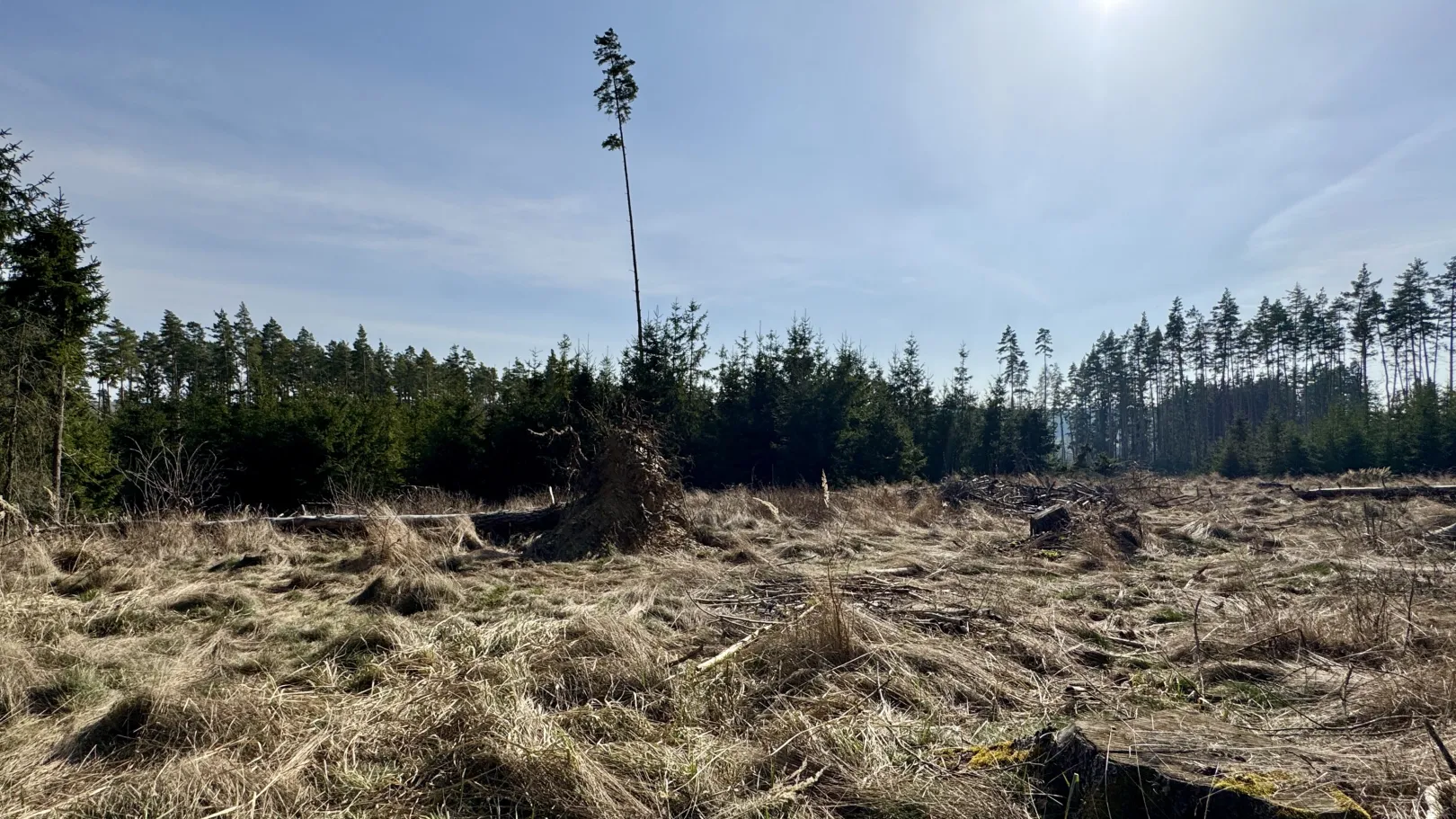 Ich höre zu – ein Jahr im Schweigen