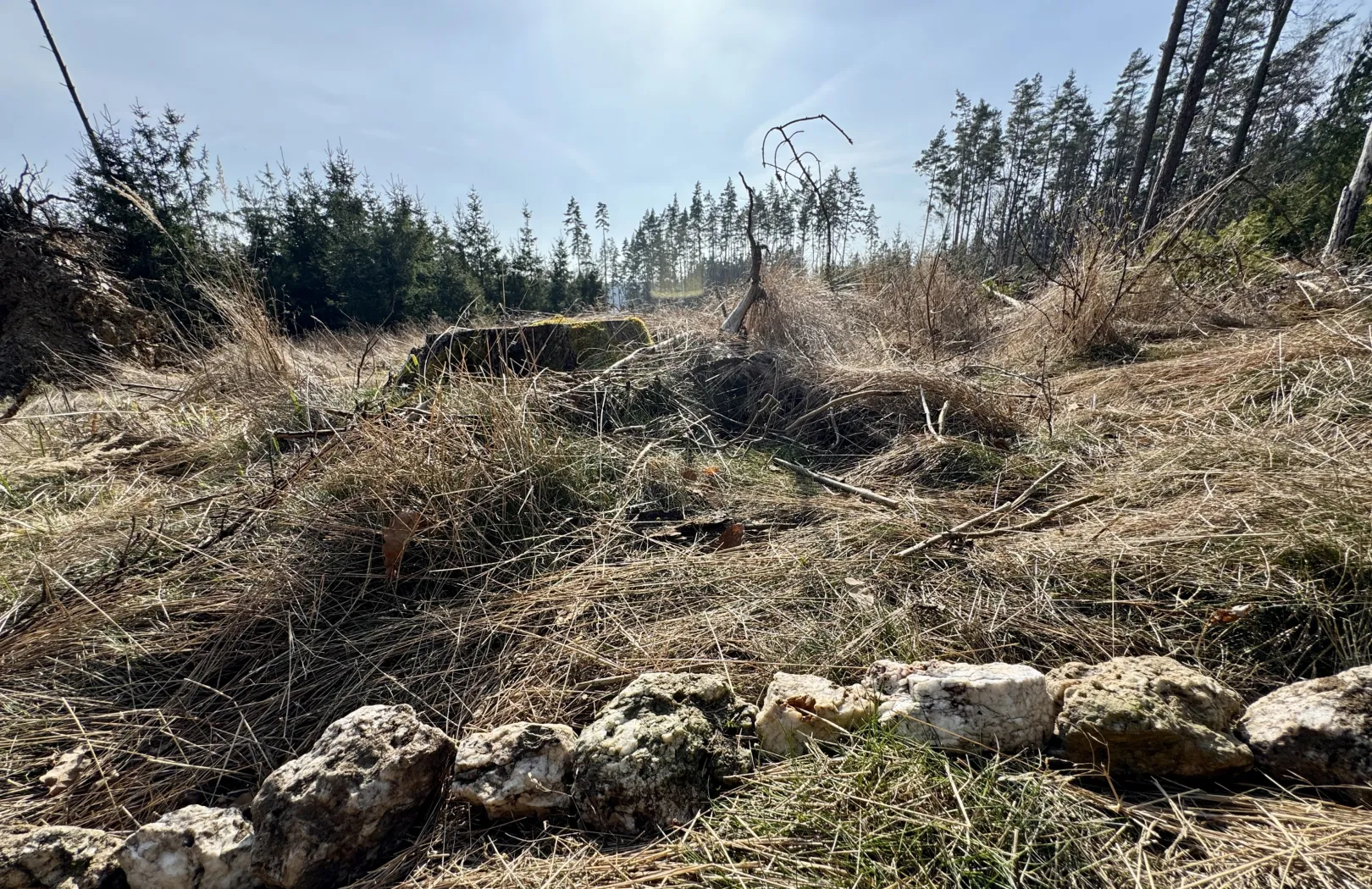 Ich höre zu – ein Jahr im Schweigen