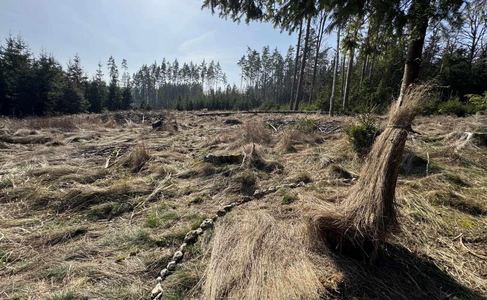 Ich höre zu – ein Jahr im Schweigen