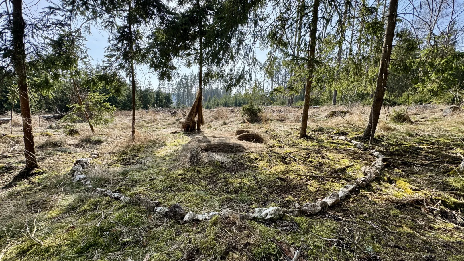 Ich höre zu – ein Jahr im Schweigen