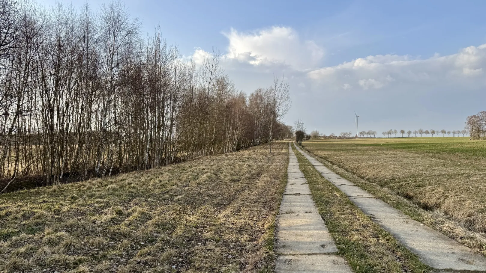 Ich höre zu – ein Jahr im Schweigen