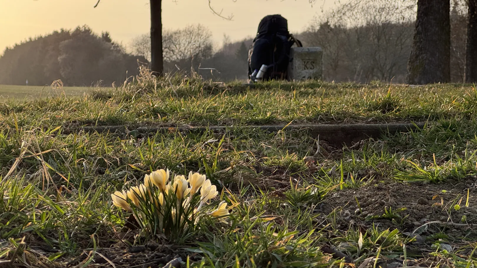 Ich höre zu – ein Jahr im Schweigen