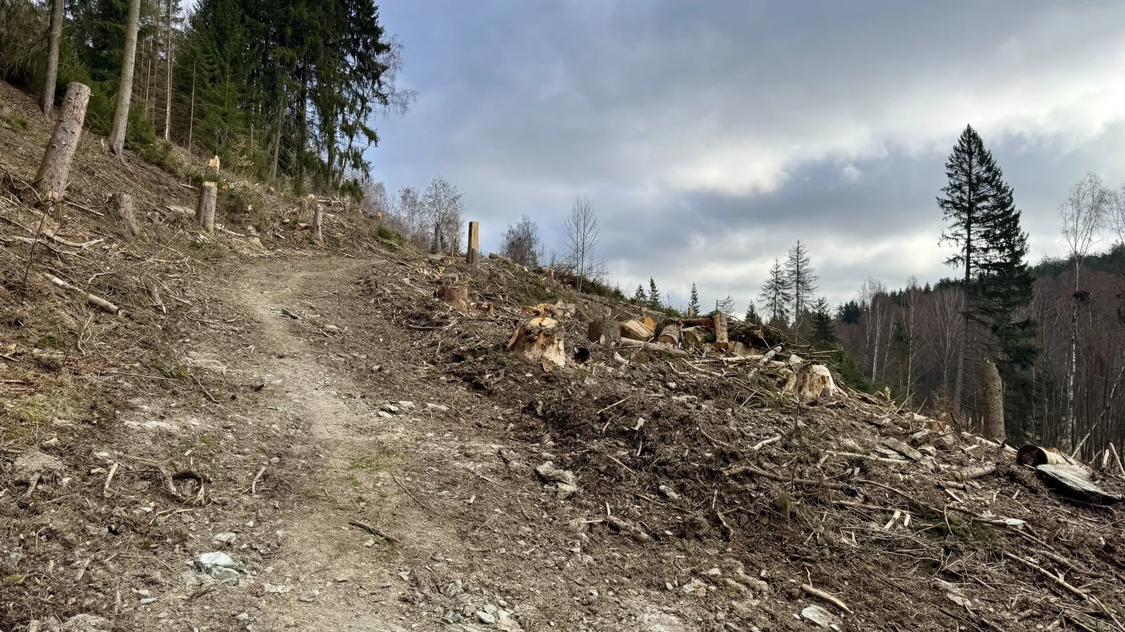 Ich höre zu – ein Jahr im Schweigen