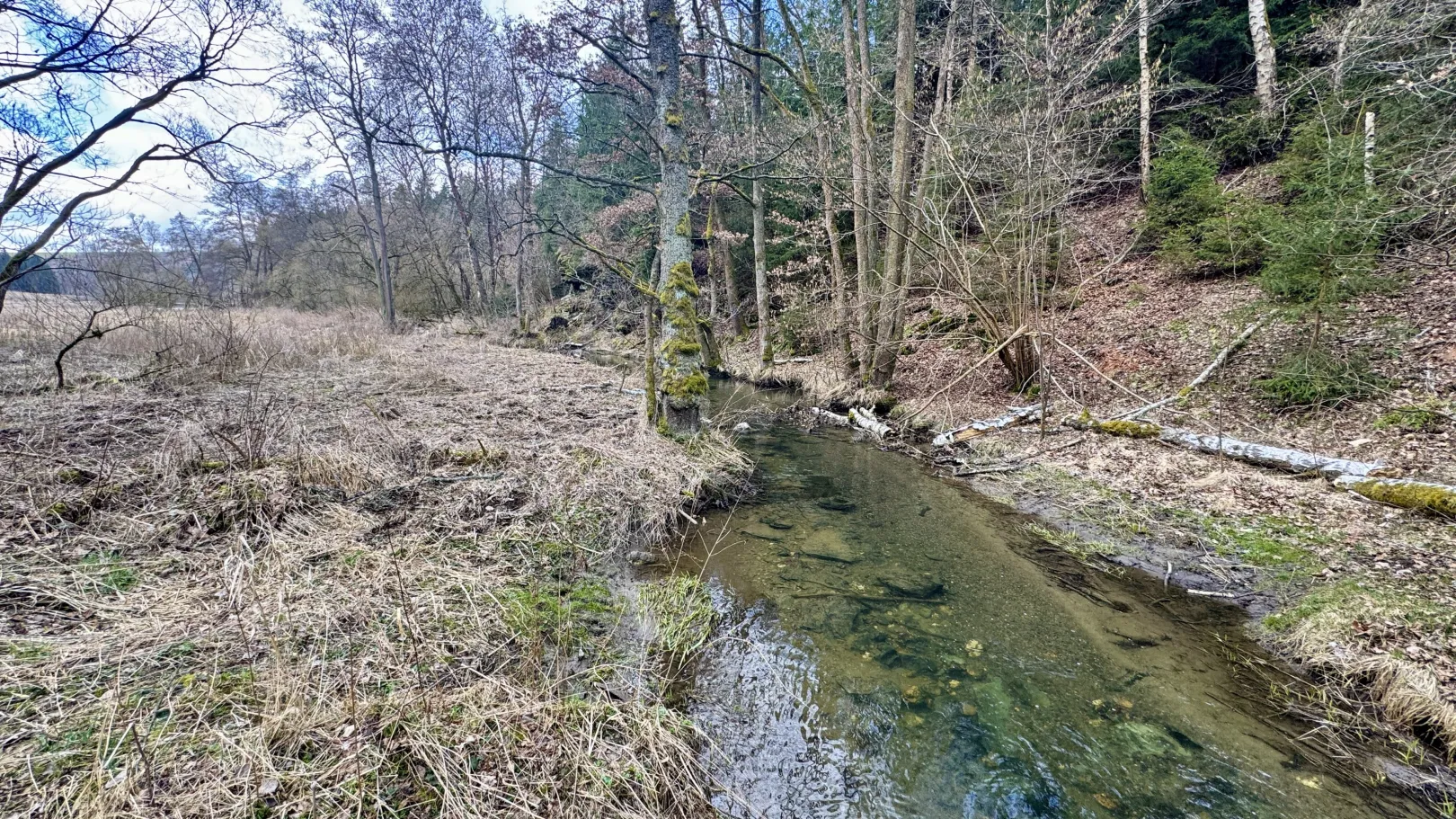 Ich höre zu – ein Jahr im Schweigen