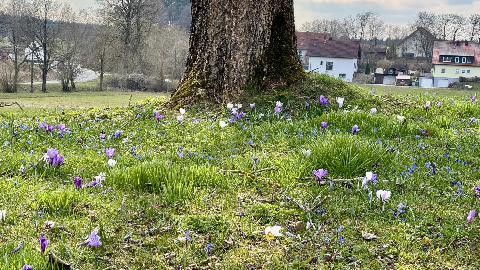Ich höre zu – ein Jahr im Schweigen